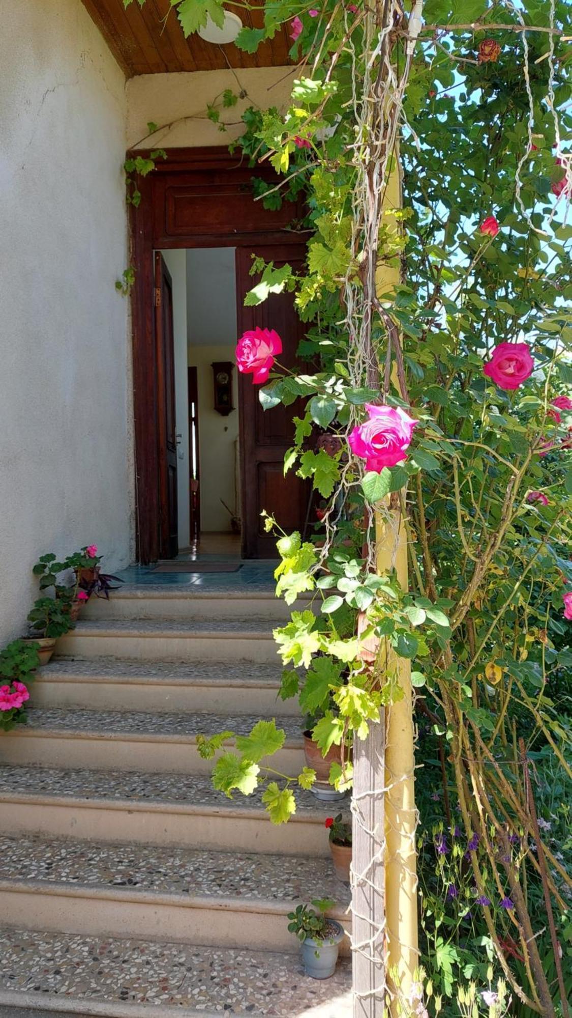 Guesthouse "Door" In سينغناغي المظهر الخارجي الصورة